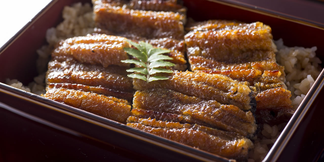 Unagi (Eel)